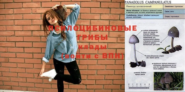 мяу мяу мука Навашино
