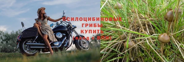 гашиш Надым
